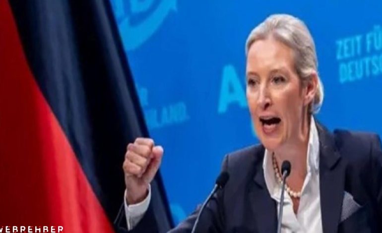 AfD’den, partiyi ‘aşırılık yanlısı’ olarak sınıflandıran Alman istihbaratına ilk tepki