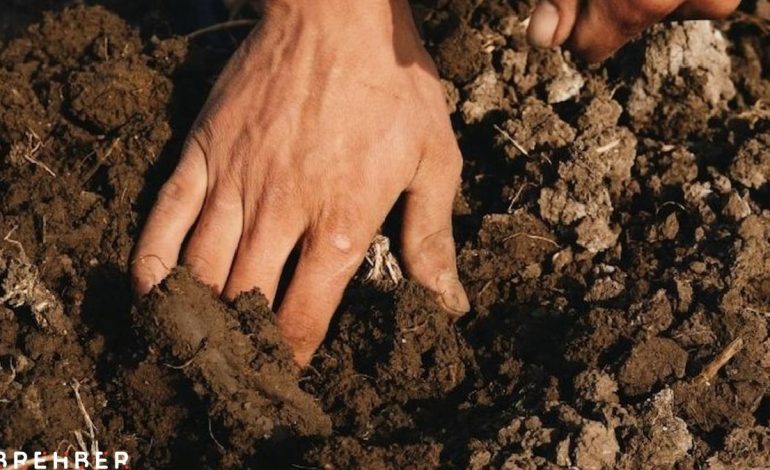 Bahçesindeki toprağı sürerken ‘tarih’ buldu