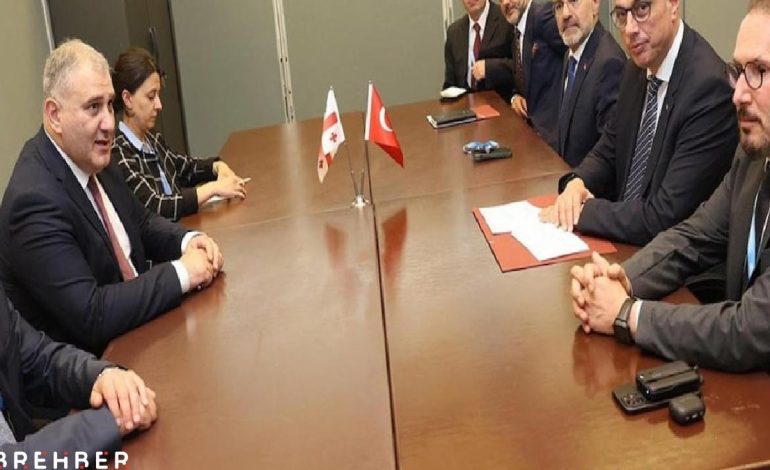 Bakan Memişoğlu Gürcistanlı mevkidaşı Sarjveladze ile bir araya geldi