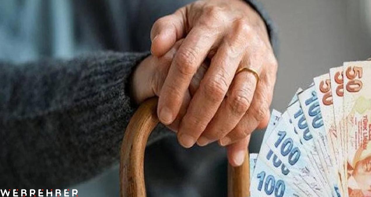 Belediye resmen açıkladı! Artık emeklilere ücretsiz