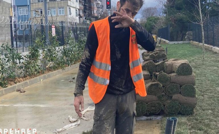 Bir zeytini bölerek yiyen en yoksul megaloman