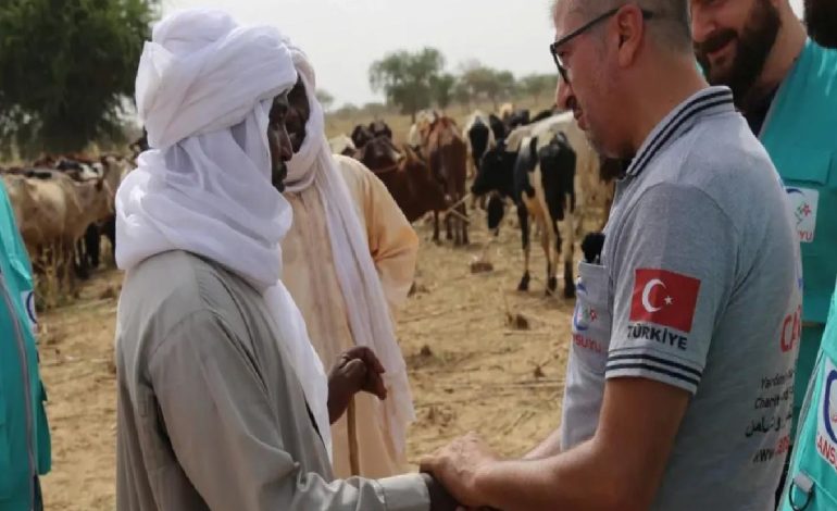Cansuyu 2025 Yılı Kurbanına Hazır