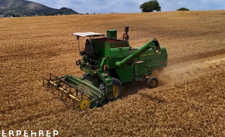 Çiftçi buğday maliyetini hesapladı, fiyat beklentisini açıkladı