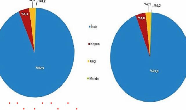 Çiğ Süt Üretim İstatistikleri, 2024