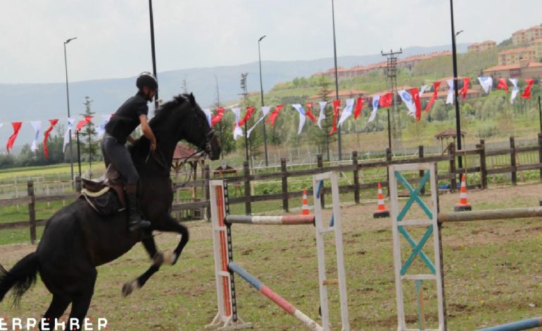 Çorum’da atlar güzellikleriyle yarıştı: Heyecan dolu anlar yaşandı