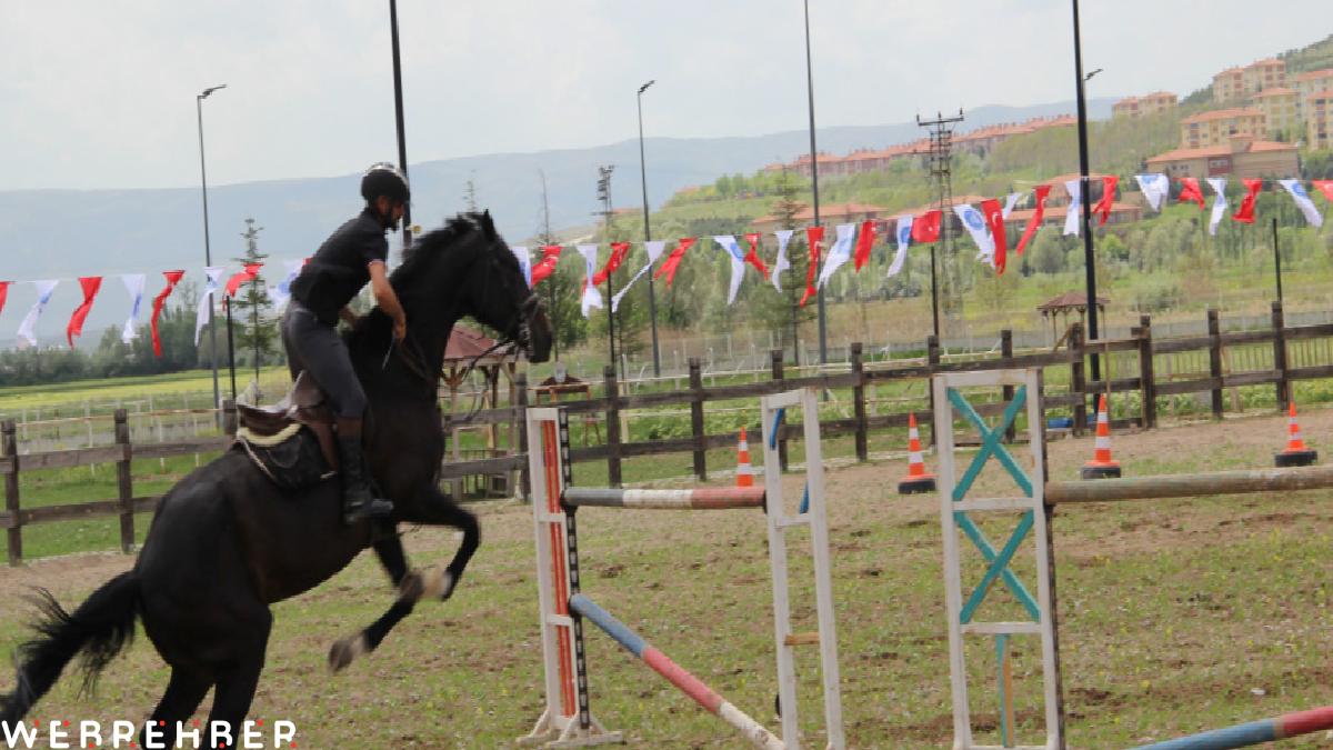 Çorum’da atlar güzellikleriyle yarıştı: Heyecan dolu anlar yaşandı