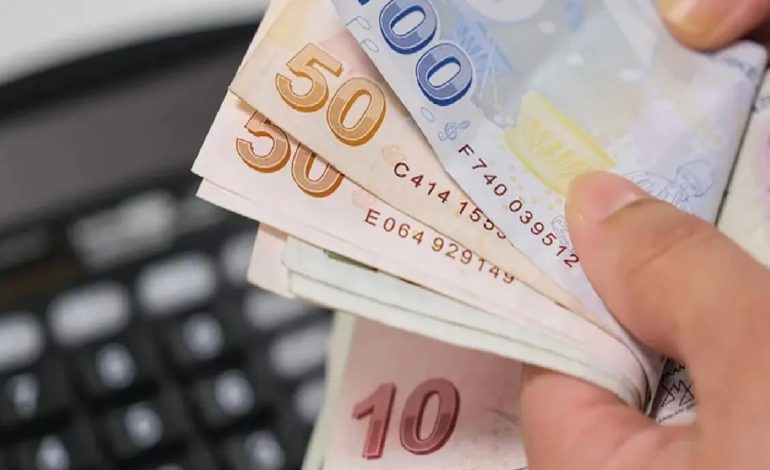 İŞKUR merak edilen verileri paylaştı! İşte en çok personele ihtiyaç olan meslekler