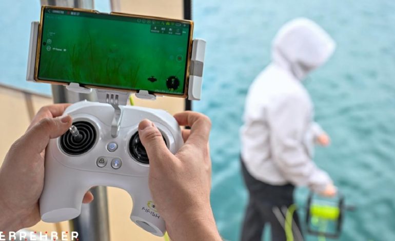 İstanbul Boğazı’ndaki deniz çayırlarının üzerindeki müsilaj arttı