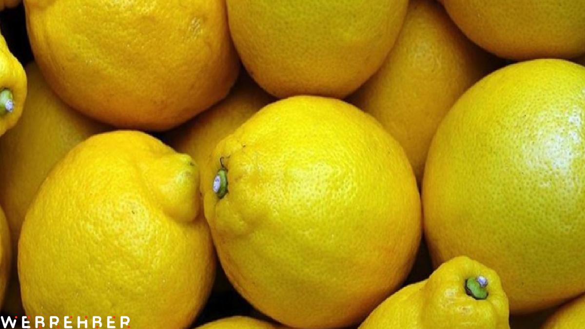 İstanbul’da nisan ayında fiyatı en çok artan ürün limon oldu
