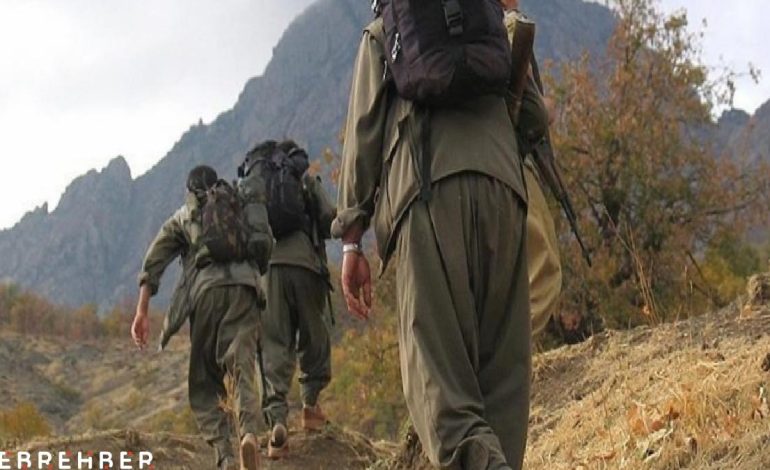 PKK’nın kendini feshi sonrası süreç nasıl işleyecek?