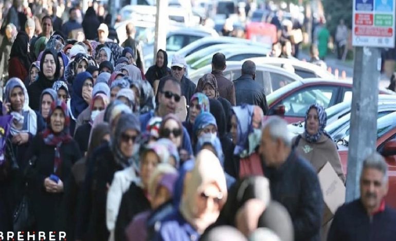 Sebze fiyatları arttı vatandaş bedava fide kuyruğuna girdi