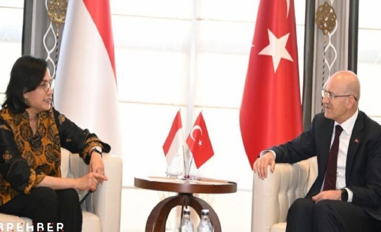 Şimşek, Endonezyalı mevkidaşı ile görüştü