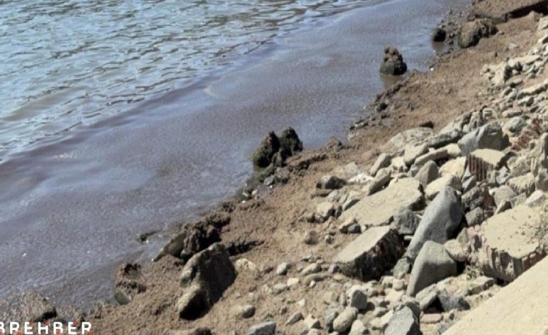 Tekirdağ’da tedirgin eden görüntü!