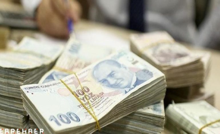 Türk Lirası’nı destekleyecek yeni adımlar