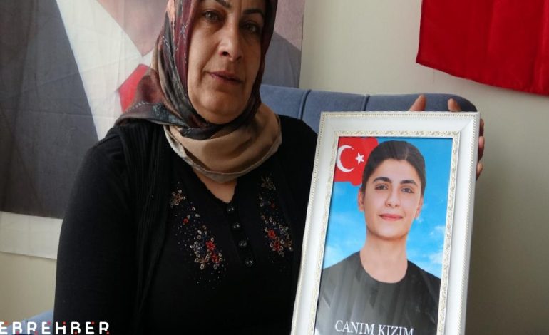 Van’da kızı dağa kaçırılan anne: Barışın kokusu çok güzel